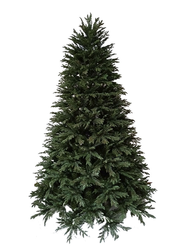 Stor julgran-PE21002