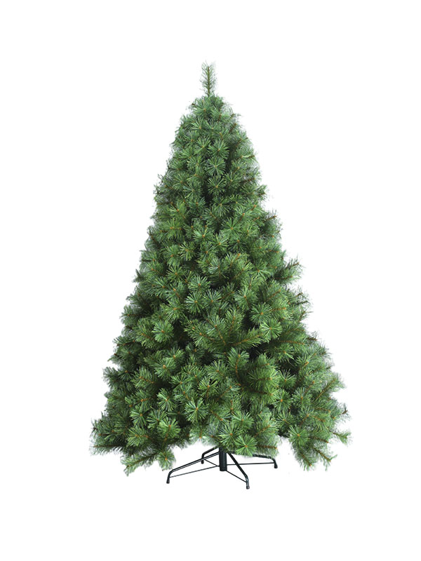 Stor julgran-MP120009